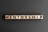 Requirements for the Raj Manek Mentorship Program