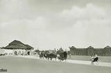 CEYLON IN 1914