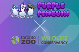 Toronto Zoo & Wildlife Conservancy Species Ambassador - African Penguin