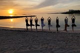 The science behind Surya Namaskaar — the relevance of an ancient practice in a modern world.