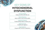 Infographic Key signs of mitochondrial dysfunction