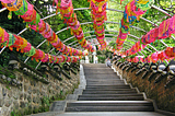 Colorful lanterns at Beomeosa Temple in South Korea