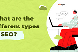 What are the different types of SEO?