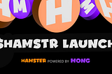 The Flawless Launch of $HAMSTR