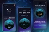 RTL, arabic, localization, Bidirectionality, right-to-left, LTR, Mirroring layout, reversing, flip