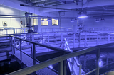 A Visit to a Norwegian Fish Farm