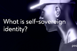 What is Self-Sovereign Identity and how does it work?