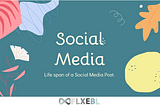 Life Span of a Social Media Post | Flxebl