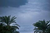 Experiencing the Red Sea in Aqaba.