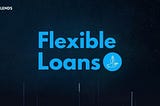 Unlocking Financial Freedom: Flexible Loan Options with Lends
