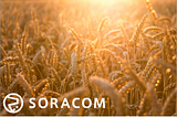 SORACOM Air, SORACOM Beam… What comes next?