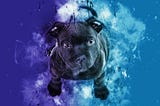 Dogs Who Survived the Sinking of the Titanic