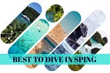 Top Liveaboard Diving Destinations to Explore in Spring