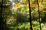 God or Nature