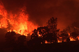 Sad and Frustrated By More Destructive Wildfires In California