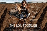 Soil Science and The Secret Life of Plants