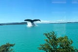 AI generated image of a blue whale’s tail appearing from Lake Zug, Switzerland