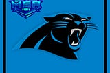 PANTHERS FIRST QUARTER REPORT