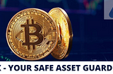 AEX- YOUR SAFE ASSET GUARDIAN