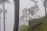 I left a piece of myself on these trails — Travel Stories India