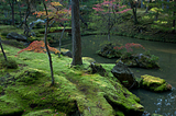 Moss Bridge, Kyoto, Japan