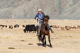 Zen and the art of horse maintenance in Mongolia