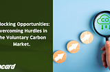 Navigating Challenges in the Voluntary Carbon Market