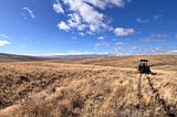 Restoring sagebrush habitat: a collaborative effort for wildlife recovery in North Central…