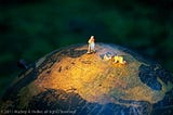 Two women are in the spotlight, cleaning and caring for North America on a desktop globe. Work at Hand by Audrey A. Heller