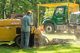 Do’s and Donts of Stump Removal You Should Know