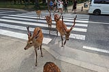 A Photographic Stroll Through Nara Park, Japan Pt. 1