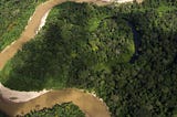 I Am Amazon: Discover your connection to the rainforest with Google Earth
