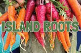 UI/UX Design — Island Roots Redesign