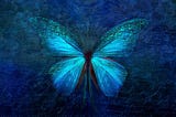 BUTTERFLY IMAGES HD, BUTTERFLY PHOTO, BEAUTIFUL BUTTERFLY IMAGES