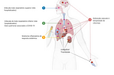 Visão geral da COVID-19 severa: Um modelo de dois “socos” levando a um loop de inflamação…