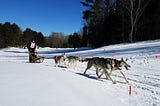 Where have all the mushers gone? Many still flock to one of Ontario’s last dog sled races