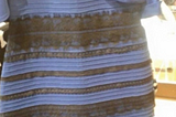 “The Dress” and Uncovering the Hidden Uncertainties in Visual Perception