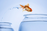 job changing as fish