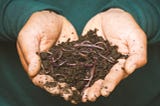 compost pexels image