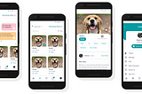 UI/UX Case Study on Pet Adoption App- Pups & Purrs🐾