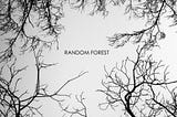 Open Machine Learning Course. Topic 5. Bagging and Random Forest