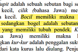 Looking up colloquial Indonesian terms suck: The case of Bogel
