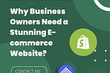 Why do Business Owners Need a Stunning E-commerce Website?