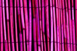 a set of purple bamboo sticks laid in an array