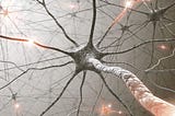 Bit Bio: You can now order neurons online!