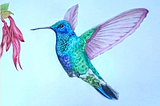 Hummingbird