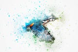 As Kingfishers Catch Fire