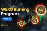 WEXO Burning Program