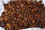 Ox Gallstone