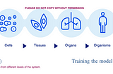 Setting the record straight on explainable AI: (1st out of N) Which explanation?